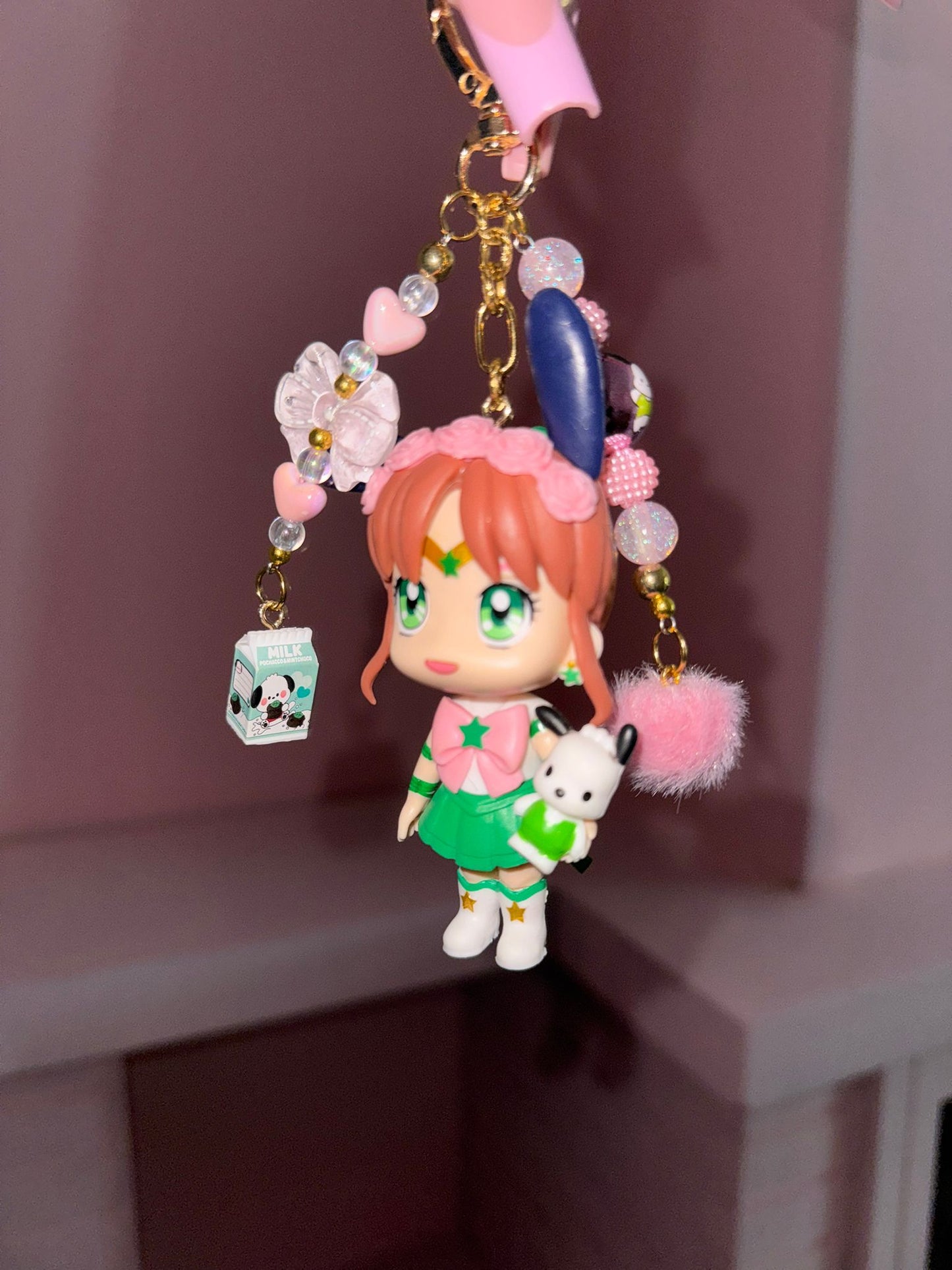 Sailor Jupiter Pochacco