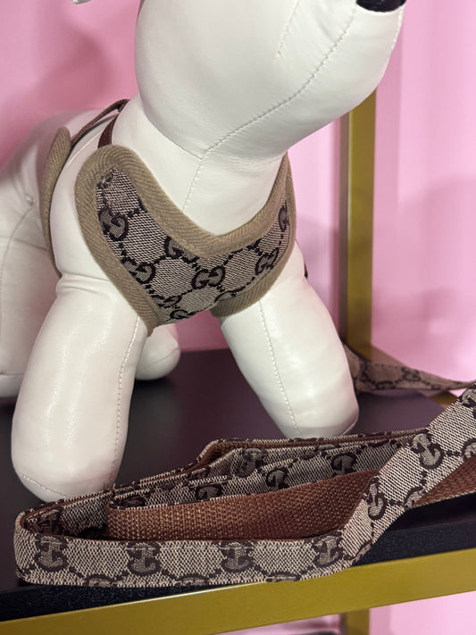 Pettorina + Guinzaglio GG Marrone