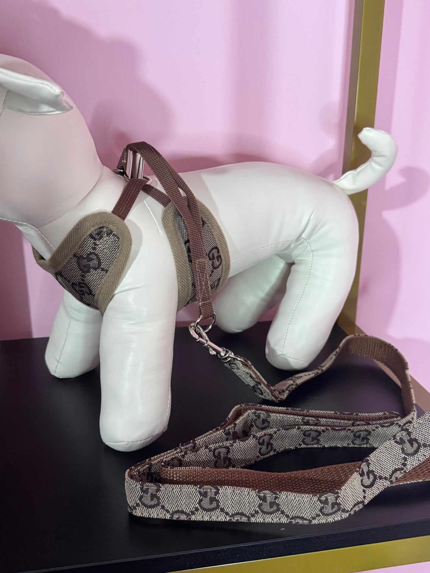 Pettorina + Guinzaglio GG Marrone