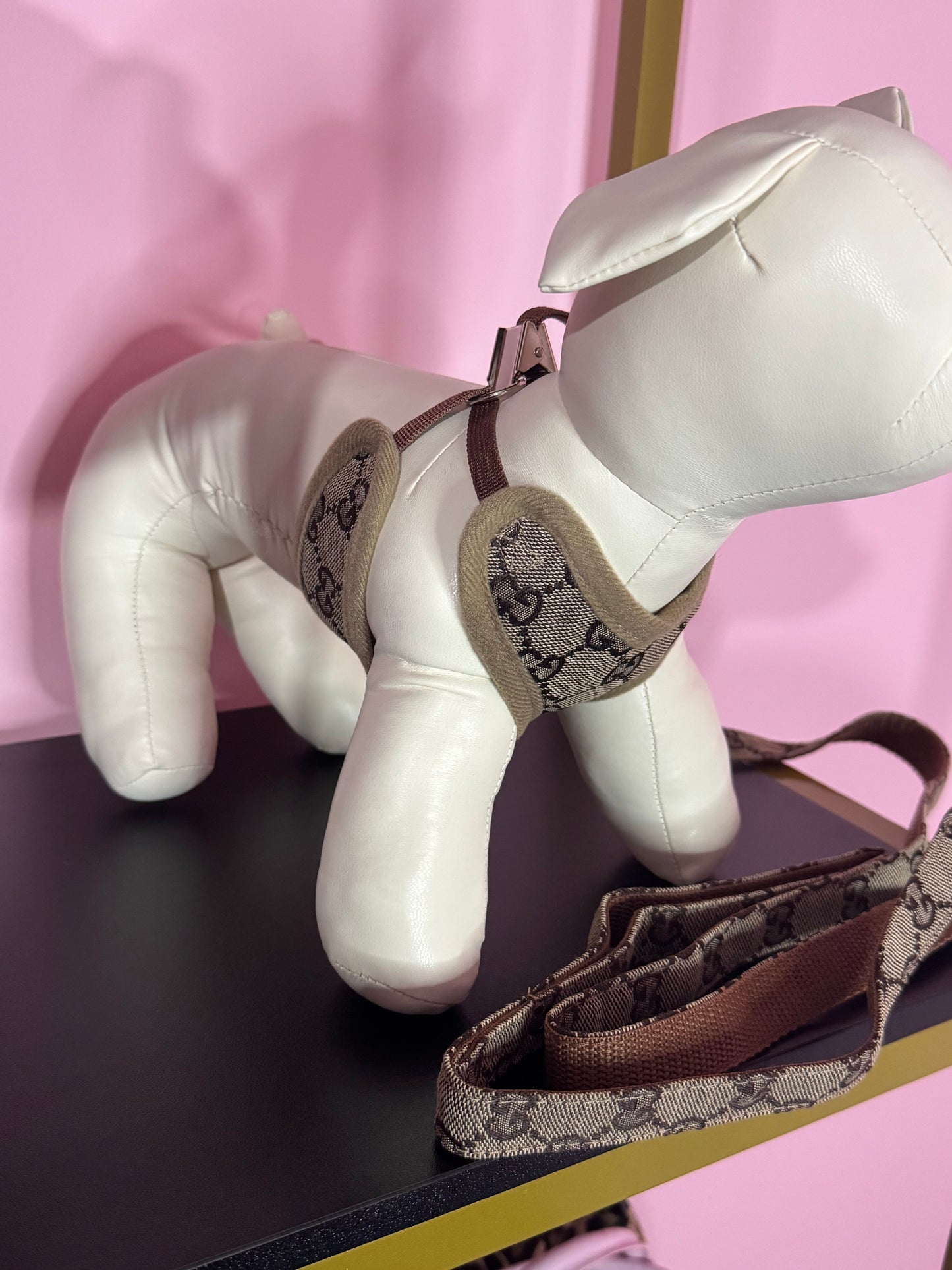 Pettorina + Guinzaglio GG Marrone