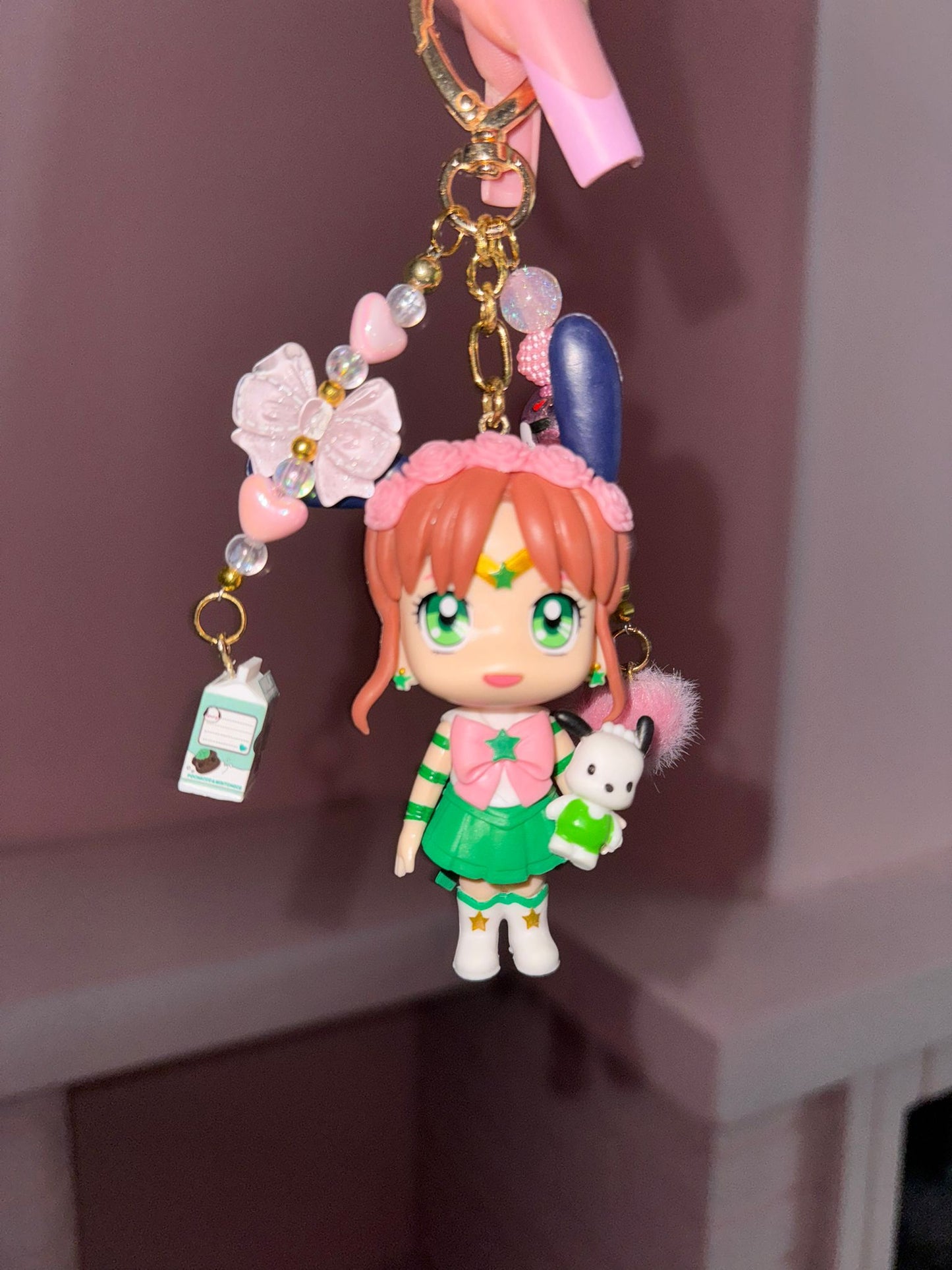 Sailor Jupiter Pochacco