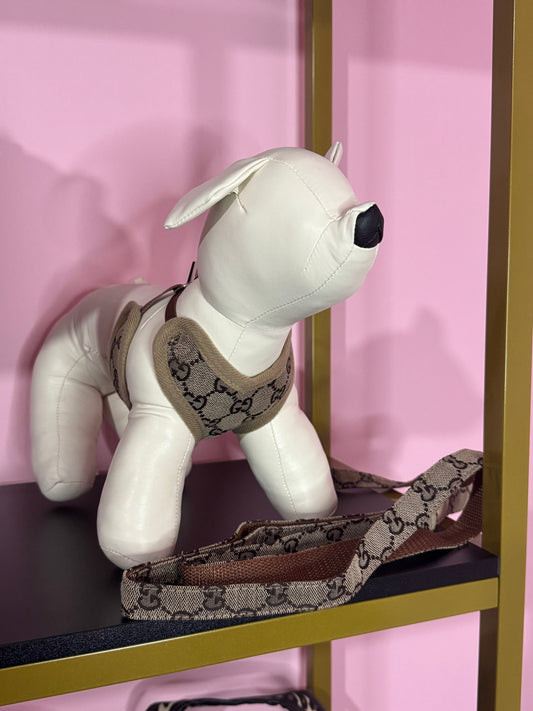 Pettorina + Guinzaglio GG Marrone